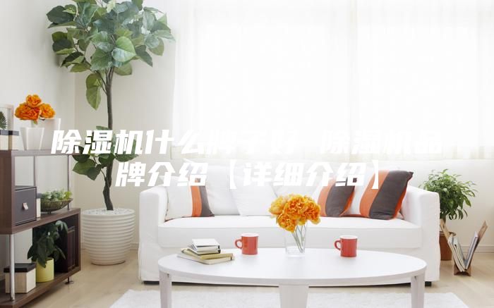 除濕機(jī)什么牌子好 除濕機(jī)品牌介紹【詳細(xì)介紹】