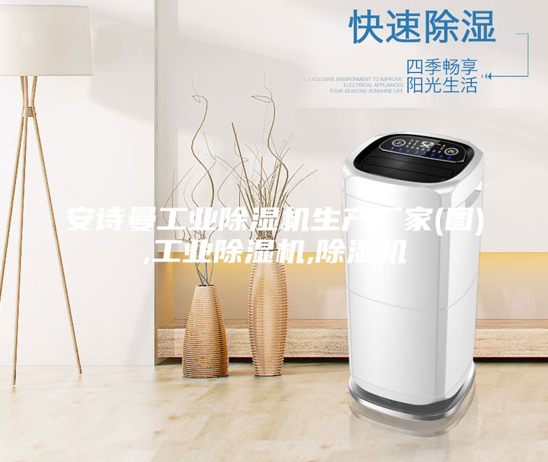 安詩曼工業(yè)除濕機(jī)生產(chǎn)廠家(圖),工業(yè)除濕機(jī),除濕機(jī)