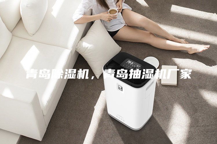 青島除濕機,青島抽濕機廠家