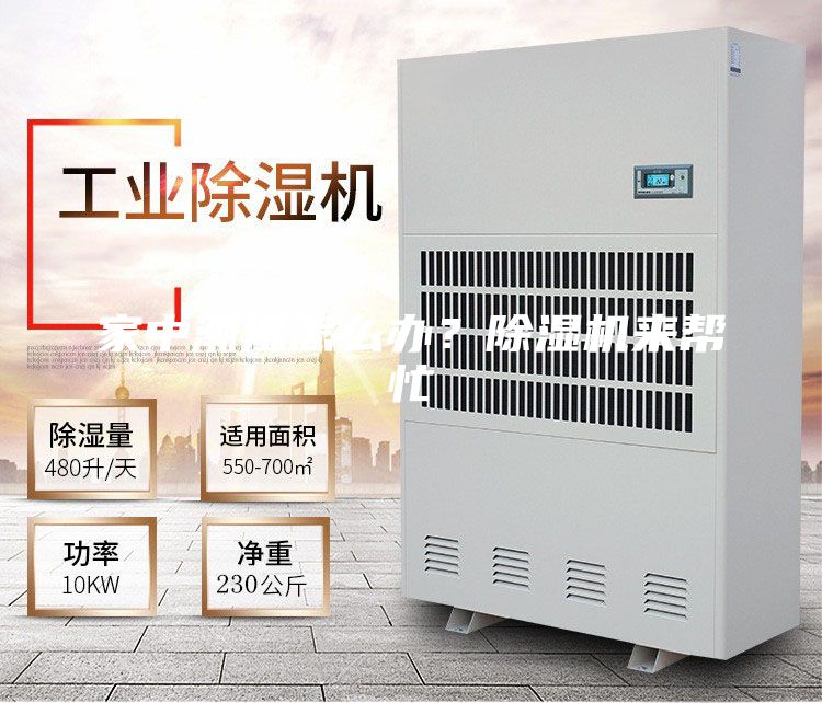 家中潮濕怎么辦？除濕機(jī)來幫忙