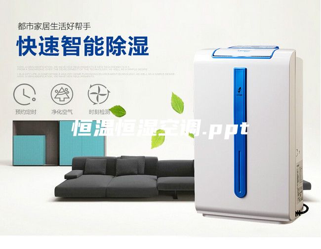 恒溫恒濕空調(diào).ppt