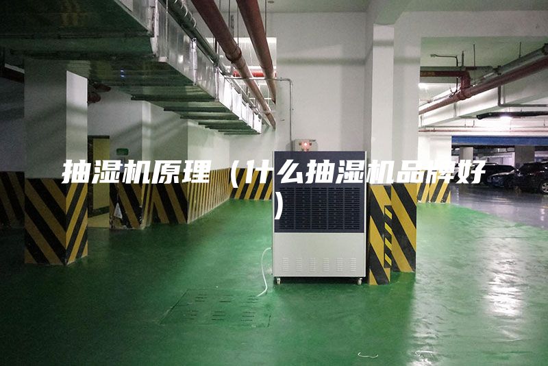 抽濕機原理(什么抽濕機品牌好)