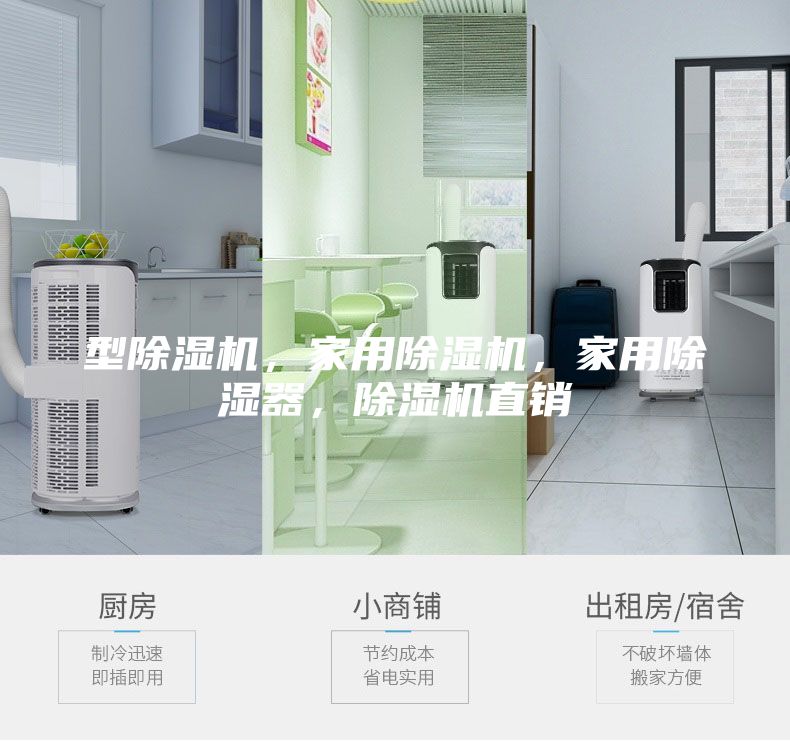 型除濕機,家用除濕機,家用除濕器,除濕機直銷