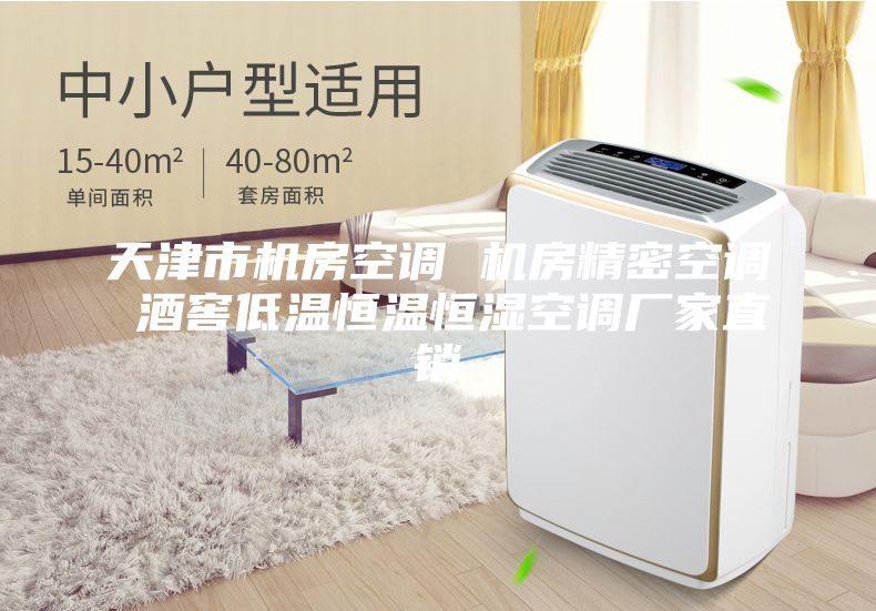 天津市機房空調(diào) 機房精密空調(diào) 酒窖低溫恒溫恒濕空調(diào)廠家直銷