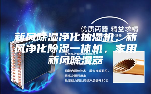 新風除濕凈化抽濕機,新風凈化除濕一體機,家用新風除濕器