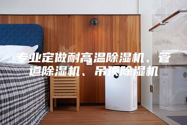 專業定做耐高溫除濕機、管道除濕機、吊頂除濕機