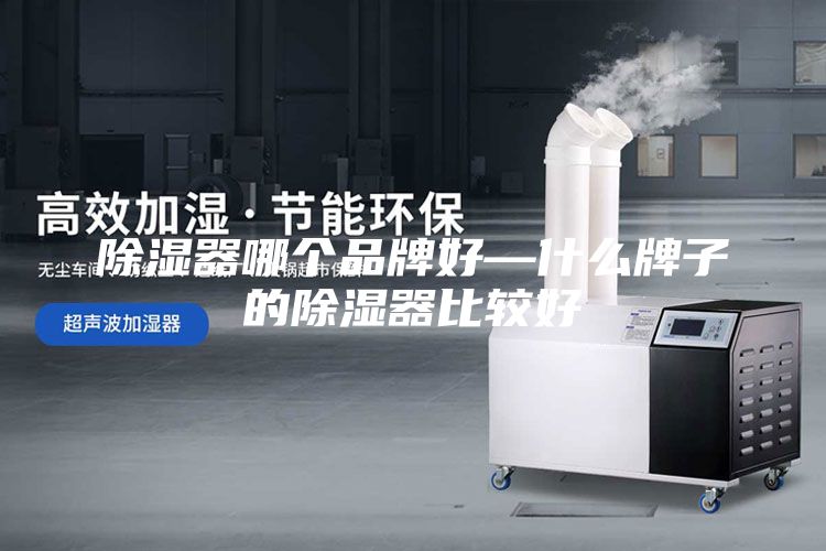 除濕器哪個(gè)品牌好—什么牌子的除濕器比較好