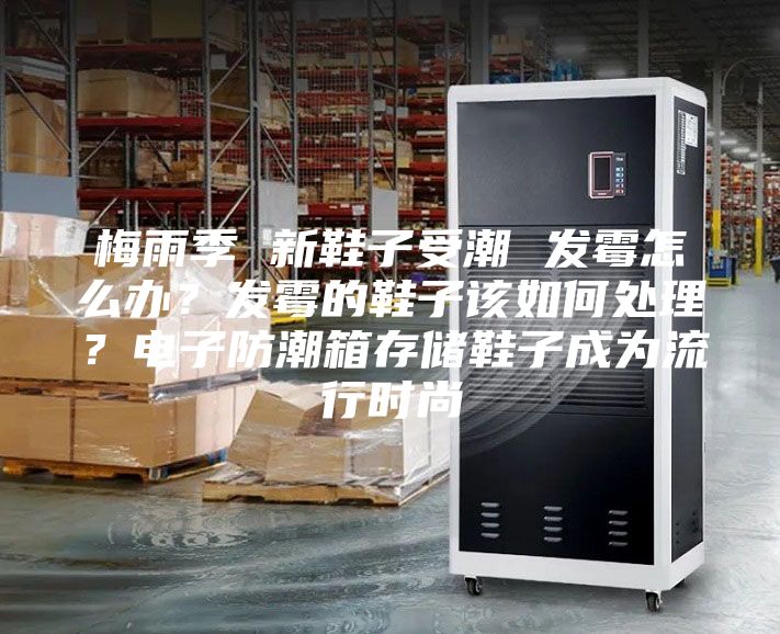 梅雨季 新鞋子受潮 發霉怎么辦？發霉的鞋子該如何處理？電子防潮箱存儲鞋子成為流行時尚