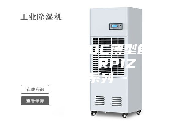 天花板內(nèi)置DC薄型自動除濕風(fēng)管機(jī) RPIZ（D）系列