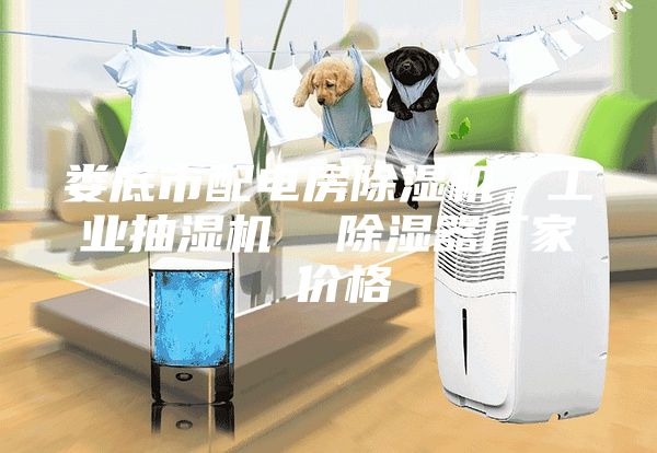 婁底市配電房除濕機(jī)，工業(yè)抽濕機(jī)  除濕器廠家 價格