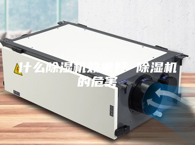 什么除濕機(jī)效果好 除濕機(jī)的危害