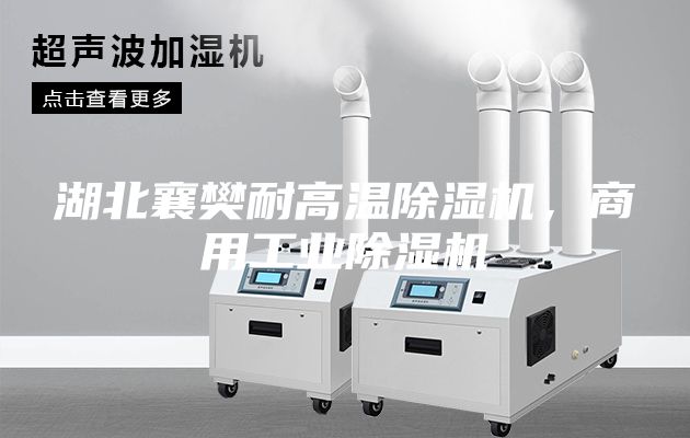 湖北襄樊耐高溫除濕機,商用工業(yè)除濕機