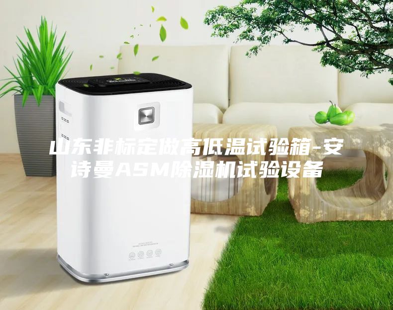 山東非標定做高低溫試驗箱-安詩曼ASM除濕機試驗設備