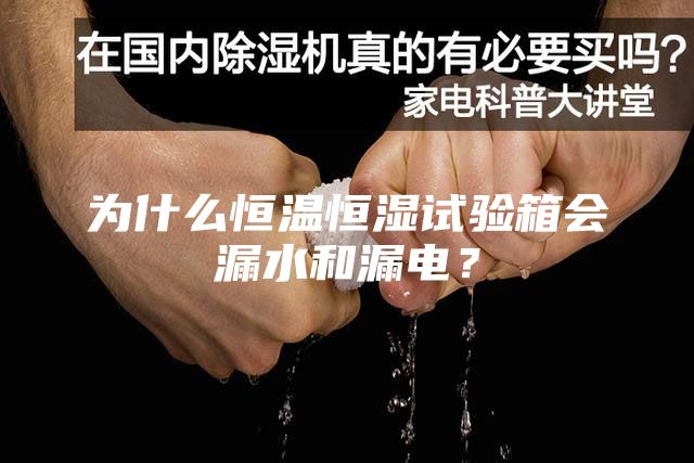 為什么恒溫恒濕試驗箱會漏水和漏電？