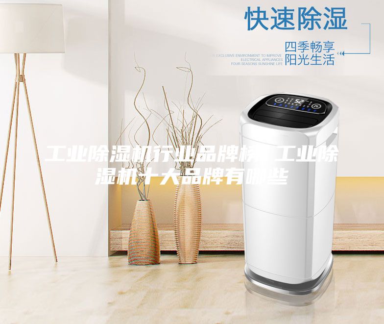工業(yè)除濕機行業(yè)品牌榜 工業(yè)除濕機十大品牌有哪些