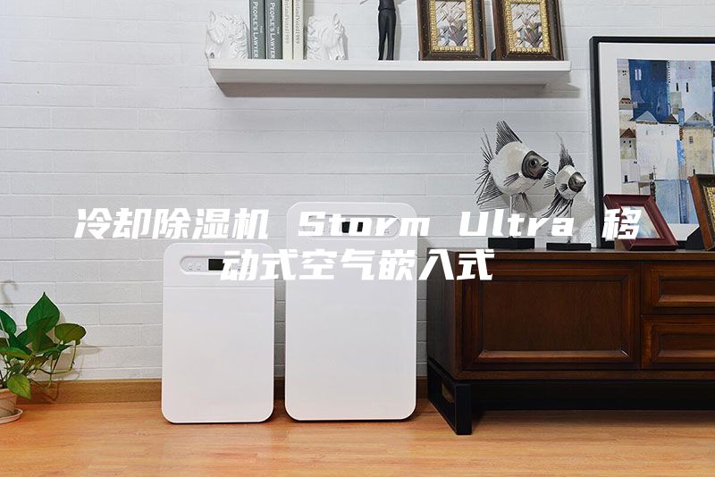 冷卻除濕機(jī) Storm Ultra 移動式空氣嵌入式
