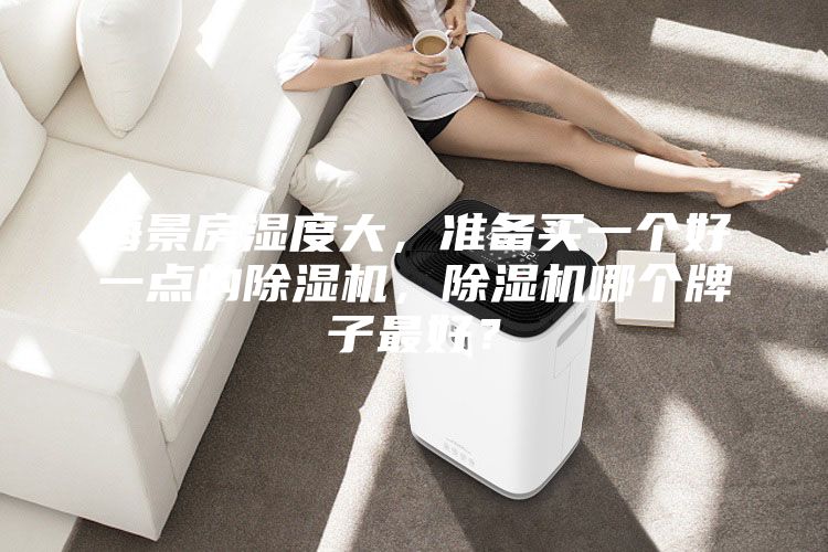 海景房濕度大，準(zhǔn)備買(mǎi)一個(gè)好一點(diǎn)的除濕機(jī)，除濕機(jī)哪個(gè)牌子最好？