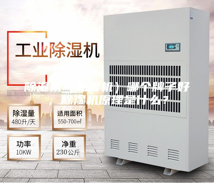 除濕機（抽濕機）哪個牌子好，除濕機原理是什么？