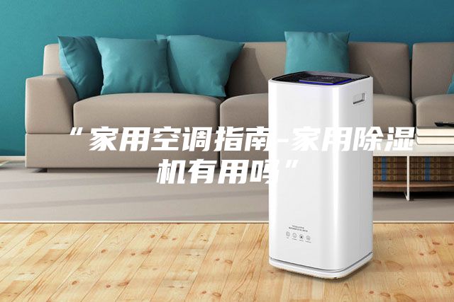 “家用空調(diào)指南-家用除濕機有用嗎”
