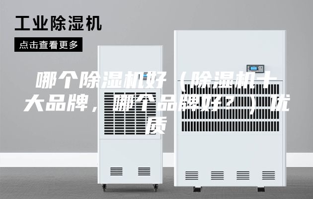 哪個除濕機好(除濕機十大品牌,哪個品牌好?)優質
