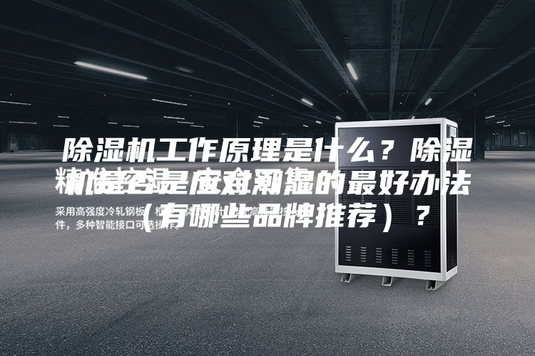除濕機工作原理是什么？除濕機是否是應對潮濕的最好辦法（有哪些品牌推薦）？