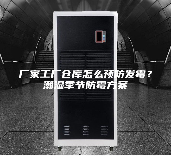 廠家工廠倉庫怎么預防發霉？潮濕季節防霉方案