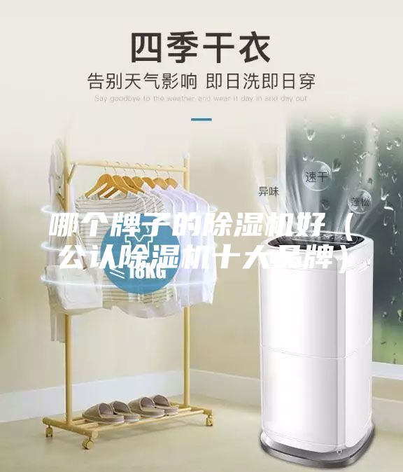 哪個(gè)牌子的除濕機(jī)好(公認(rèn)除濕機(jī)十大品牌)