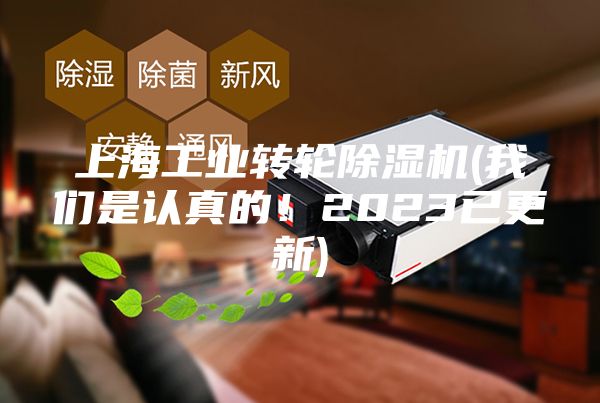 上海工業(yè)轉(zhuǎn)輪除濕機(我們是認真的！2023已更新)