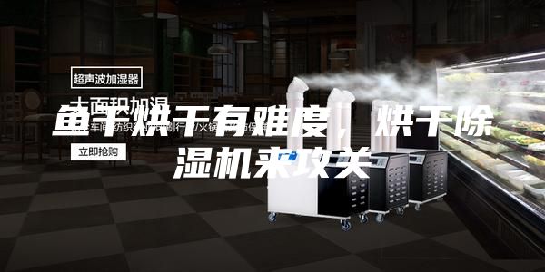 魚干烘干有難度,烘干除濕機來攻關