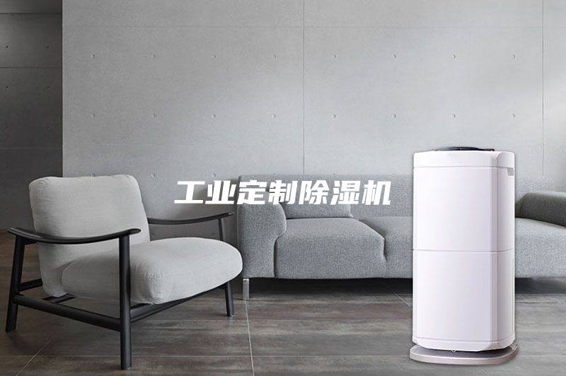 工業(yè)定制除濕機