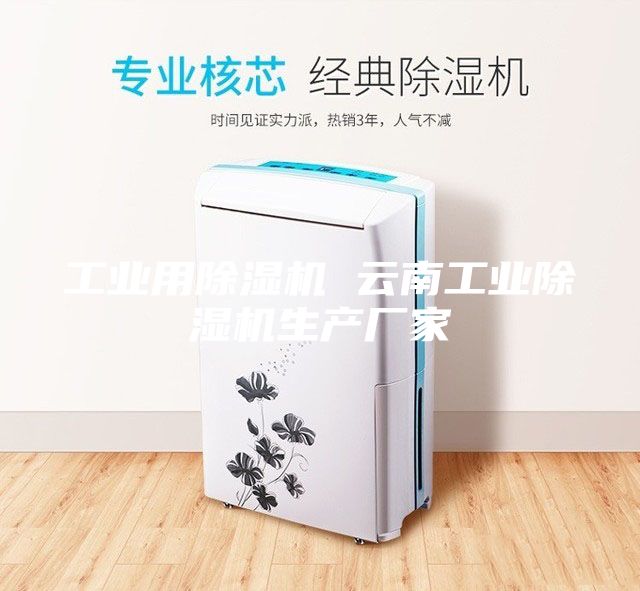 工業(yè)用除濕機(jī) 云南工業(yè)除濕機(jī)生產(chǎn)廠(chǎng)家
