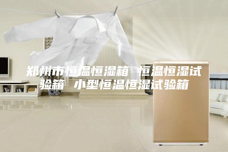 鄭州市恒溫恒濕箱 恒溫恒濕試驗(yàn)箱 小型恒溫恒濕試驗(yàn)箱