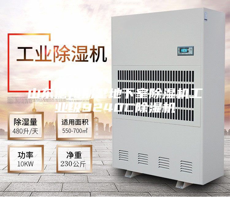 山東德州別墅地下室除濕機(jī)工業(yè)級(jí)9240C除濕機(jī)