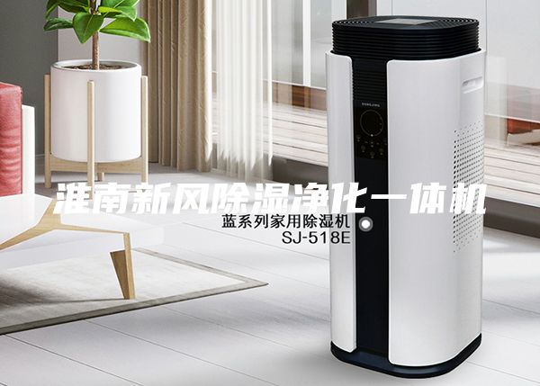淮南新風除濕凈化一體機