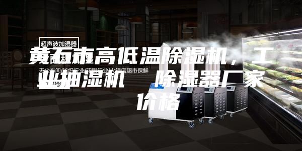 黃石市高低溫除濕機,工業抽濕機 除濕器廠家 價格