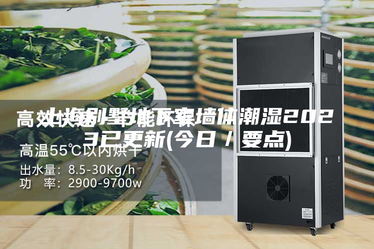 上海別墅地下室墻體潮濕2023已更新(今日/要點)