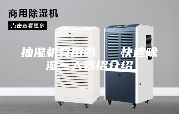 抽濕機有用嗎 快速除濕三大妙招介紹