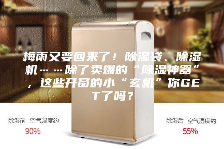 梅雨又要回來了！除濕袋、除濕機……除了賣爆的“除濕神器”，這些開窗的小“玄機”你GET了嗎？