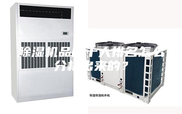 除濕機品牌十大排名怎么分析出來的？