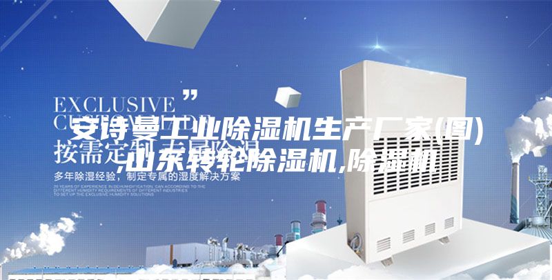 安詩曼工業(yè)除濕機(jī)生產(chǎn)廠家(圖),山東轉(zhuǎn)輪除濕機(jī),除濕機(jī)