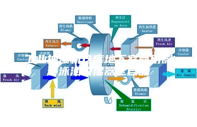 工業抽濕機倉庫地下室商用器游泳池吸濕器全自動