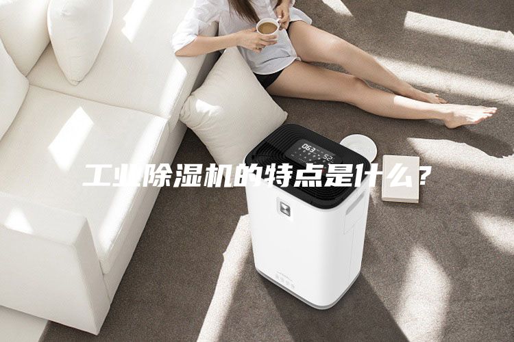 工業(yè)除濕機的特點是什么？