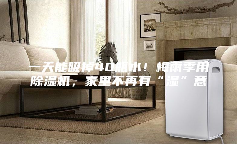 一天能吸掉40瓶水！梅雨季用除濕機，家里不再有“濕”意
