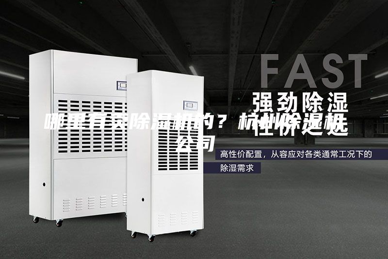 哪里有賣除濕機的？杭州除濕機公司