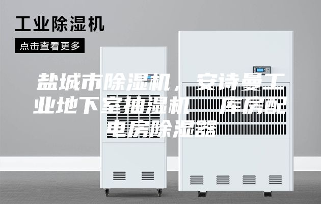 鹽城市除濕機(jī)，安詩曼工業(yè)地下室抽濕機(jī)  庫房配電房除濕器