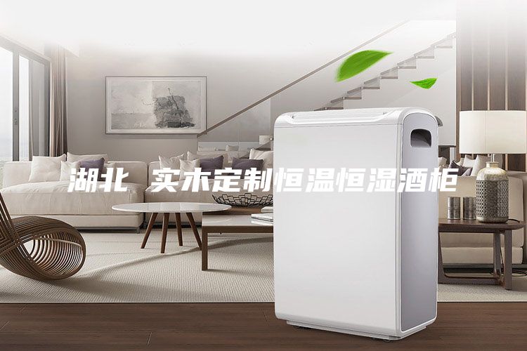 湖北 實(shí)木定制恒溫恒濕酒柜