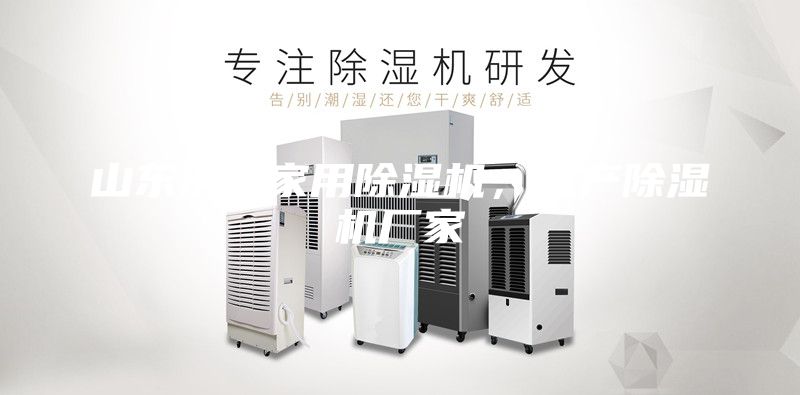 山東濟南家用除濕機，生產(chǎn)除濕機廠家