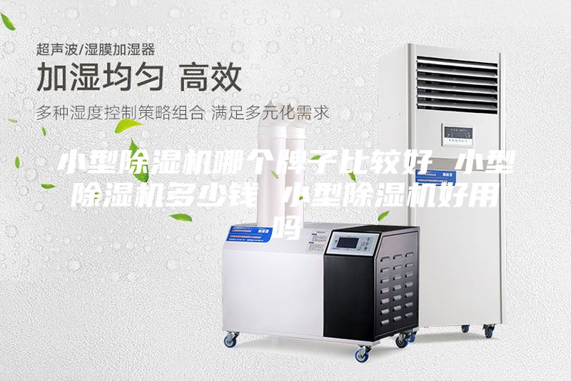 小型除濕機(jī)哪個(gè)牌子比較好 小型除濕機(jī)多少錢(qián) 小型除濕機(jī)好用嗎