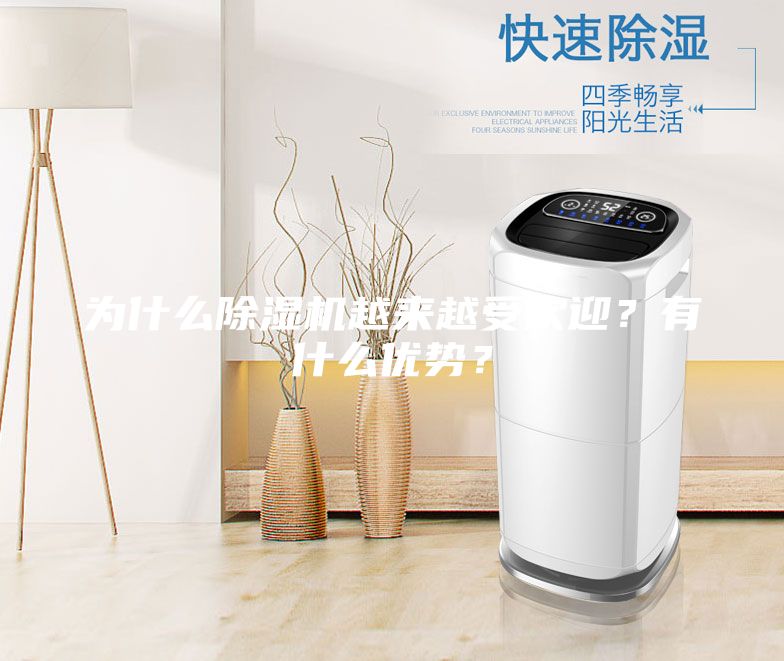 為什么除濕機越來越受歡迎？有什么優勢？