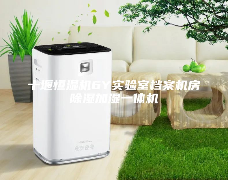 十堰恒濕機6Y實驗室檔案機房除濕加濕一體機